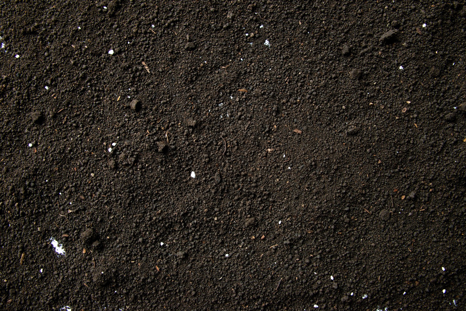 Top Soil